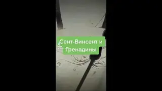 Сент-Винсент и Гренадины