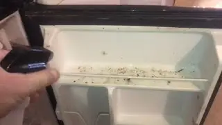“how to clean” EXTREMELY MOLDY refrigerator