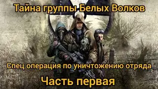 Mysterious zone. Сталкер РП. Тайна белых волков. #mysteriouszone