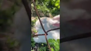 Привет заяц 👋