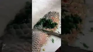 #fish