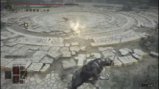 Elden Ring PvP High skill player  @junoglrr9119