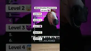 Which Brazilian Phonk level are you?😱 