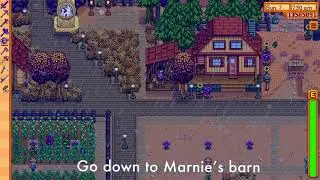 How do you buy and wear hats in Stardew Valley