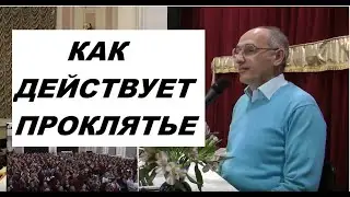 Как действует проклятье на человека, Торсунов О. Г. 