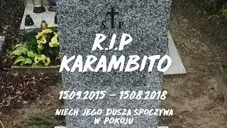 TO KONIEC....