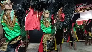 Medale Perang Celeng SRENGGI New Suryo Wijoyo Terbaru