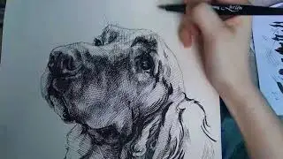 Рисунок собаки