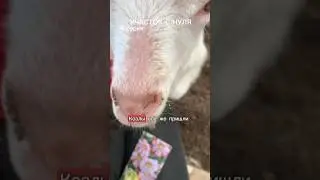 А вы меня предупреждали😭