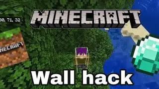 Minecraft with hacks (wall hack, X ray, veinmine)