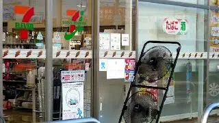 Why Big Fans Outside Japanese Konbini?
