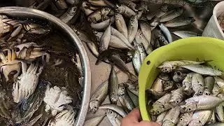 Madaming isdang matambaka na nag dagsaan ang sarap hagisan nang lambat / @toyohashi