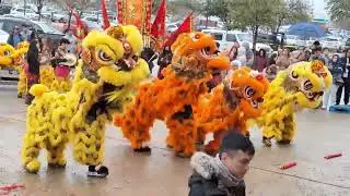 Chinese New Year 4720 - Year of the Dragon