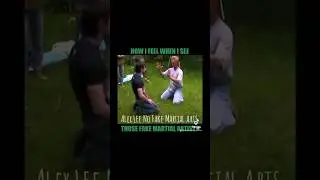 Alex Lee No Fake Martial Arts