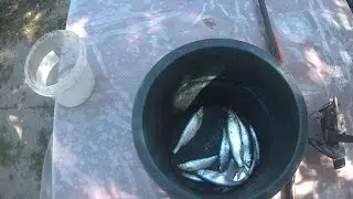 рыбалка на реке, Кубань не радует уловом