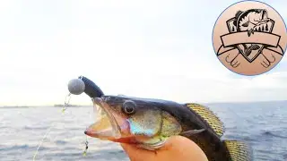 Рыбалка на судака, силиконовые приманки JeyFish