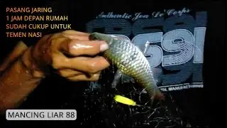 PASANG JARING 1 JAM DEPAN RUMAH SUDAH CUKUP UNTUK TEMEN NASI | IKAN HAMPALA | MANCING LIAR 88
