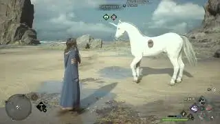 Hogwarts Legacy || Rescuing Hazel the Unicorn