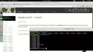 OverTheWire-Wargames-Bandit Level 4 → Level 5