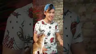 КАК СОБАКИ ПОНИМАЮТ КОГДА ВЕРНЕТСЯ ХОЗЯИН