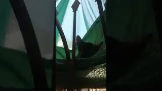 😅😂😅😂😅😂😅😂