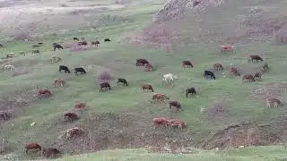 ilkbahar geçmişte kalan