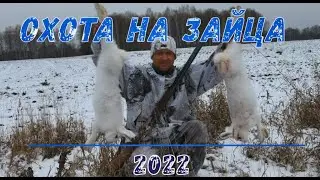Охота на зайца! Открытие сезона 2022!