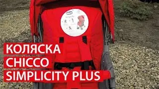 Коляска Chicco SimpliCity Plus / МАМА - ЭКСПЕРТ / Светлана Бисярина