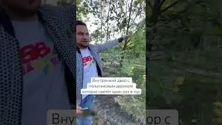 Купить кастомный таунхаусы в Буче. Ссылка на проект и описание в шапке профиля ☝🏿