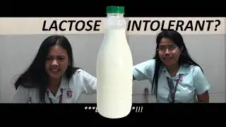 MILKito - BIOMMERCIAL