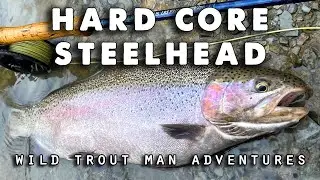 Steelhead Fly Fishing Elk Creek