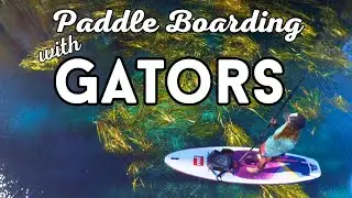 Paddle Silver Springs State Park Florida: Abundant  Florida Wildlife