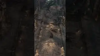 Bloodborne 60 fps with fixed camera angle #bloodborne #bloodbornegameplay #fromsoftware #soulsborne