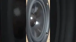 Eltax Monitor III Bass & excursion