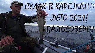СУДАК в КАРЕЛИИ лето 2021!!!РЫБАЛКА в КАРЕЛИИ на ПАЛЬЕОЗЕРЕ!!!
