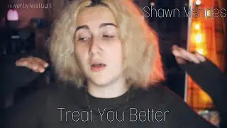 Shawn Mendes - Treat You Better (cover by Mad Light)