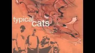 Typical Cats - Cliche