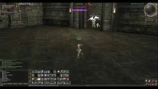Lineage 2 Asterios x1 8 этаж