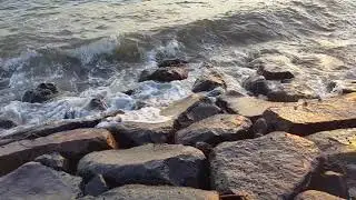 Бали. Крабики