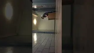 MALING MY FRIEND TO DAME TU COSITA’S HOUSE!!!!! *HE REALLY CAME*  (gone wrong) (cops called)