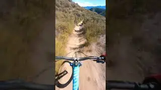 Valocity!!!  OG to Ranoa Flow - Race Pace
