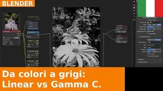 🇮🇹 Da colore a scala di grigi: Linear vs (gamma corrected) sRGB | Blender 4.3 Compositing