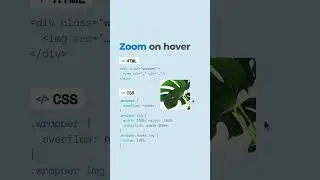 ✨ A simple image zoom effect suitable for profile pictures, product icons and more ✨