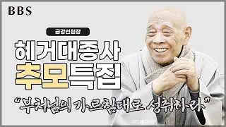 [추모특집] 혜거대종사 