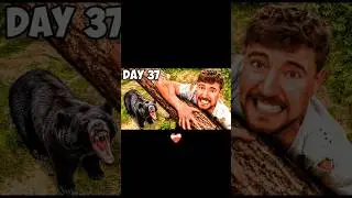 Day 5 💔 | Day 37 ❤️‍🩹