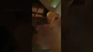 🐍🐍