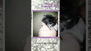 Наши щенки, которые подарят Вам душевное тепло!!!!!  
