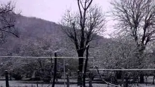 Мазых.3-31- 2014