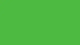 Balloon Green Screen for 1 Hour in full HD 4K!