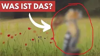 Realistisch malen mit Acrylfarbe - Ein verrücktes Gemälde entsteht